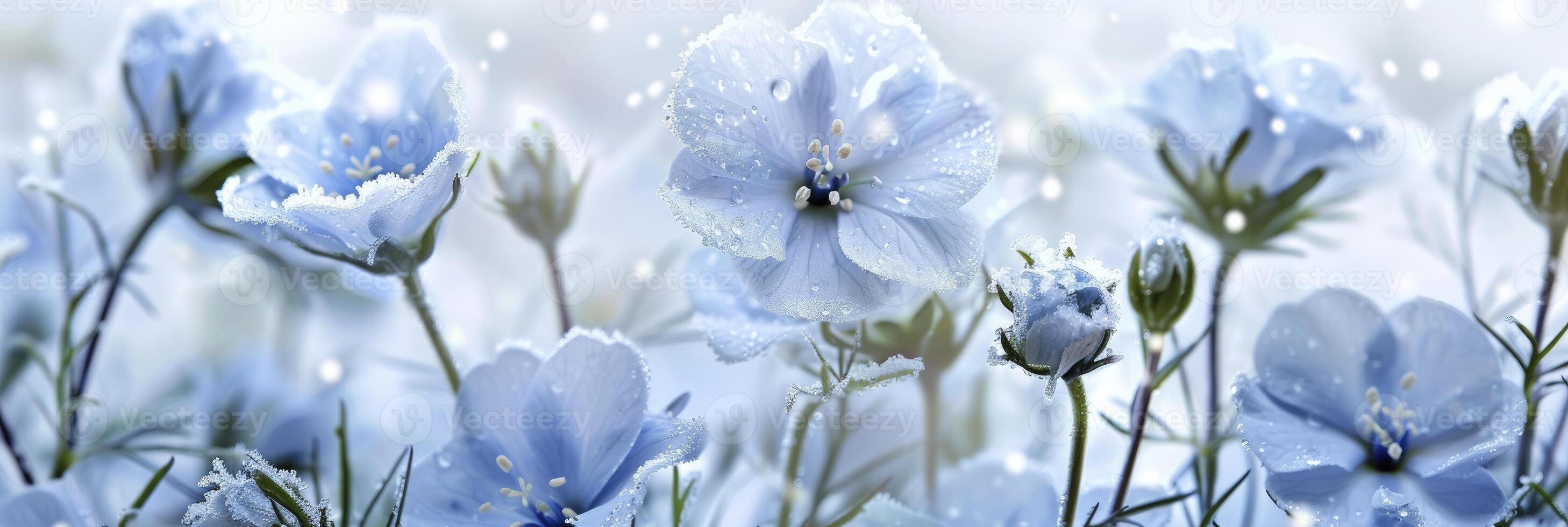 AI generated Beautiful nemophila flowers photo