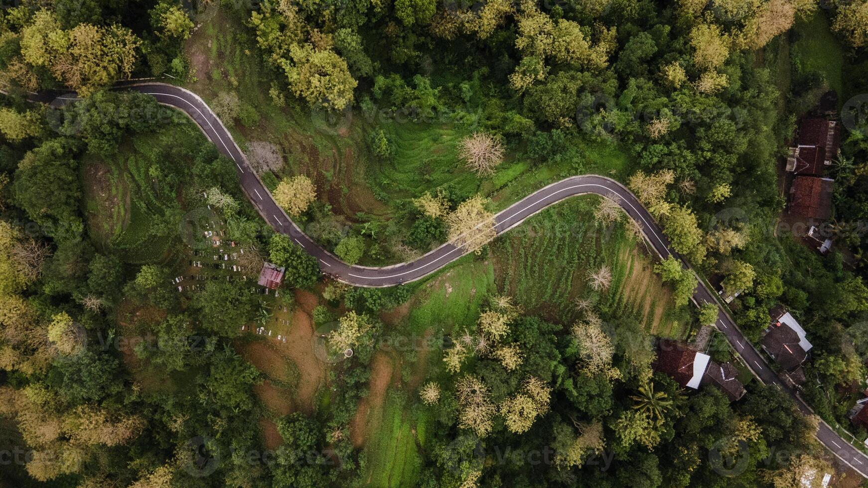 aerial view of asphalt road winding between forests and beautiful green rice fields. photo