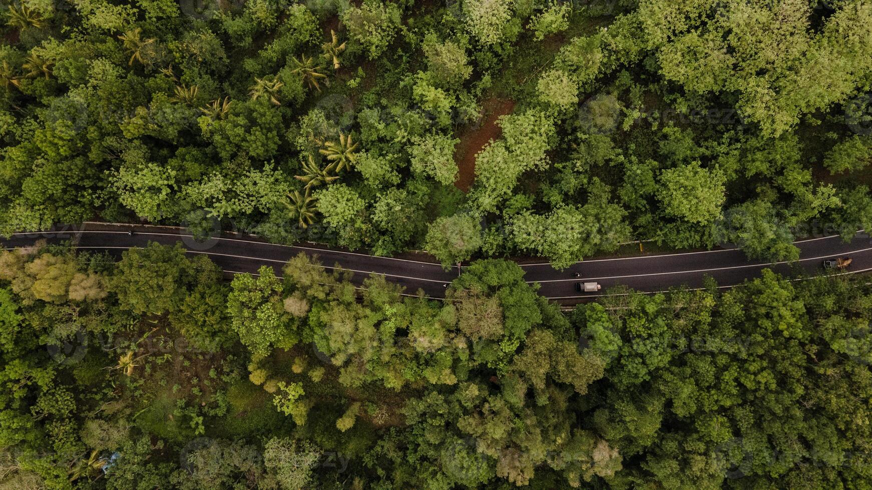 aerial view, asphalt road winding through forest and countryside. photo