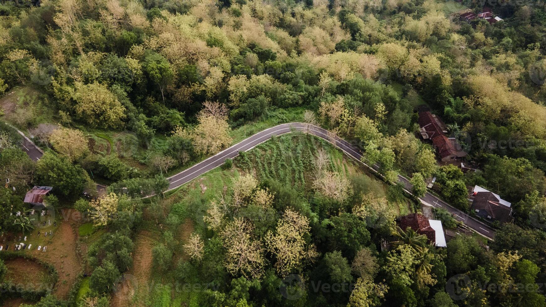 aerial view of asphalt road winding between forests and beautiful green rice fields. photo