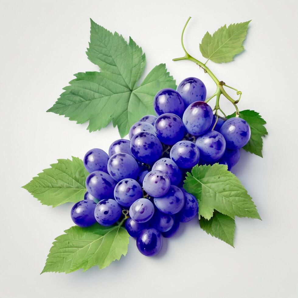 AI generated Blue grapes with leaf. Realistic Blue grapes. Grapes fruit photography. Grapes photo white background.