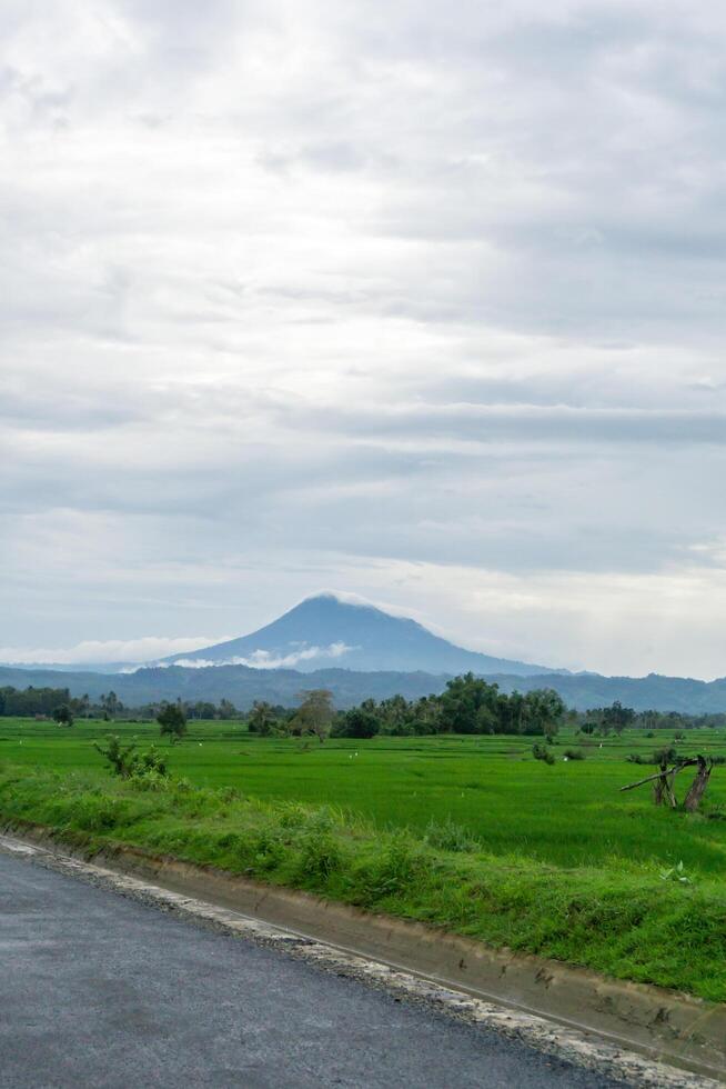 hermosa paisaje ver de verde arrozal arroz campo con un montaña en el antecedentes. seulawah montaña ver en aceh besar, Indonesia. foto