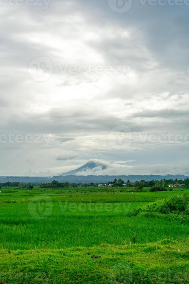 hermosa paisaje ver de verde arrozal arroz campo con un montaña en el antecedentes. seulawah montaña ver en aceh besar, Indonesia. foto
