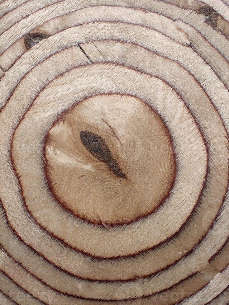 Layers of plywood. Sanded plywood. Wood background. Wood texture photo