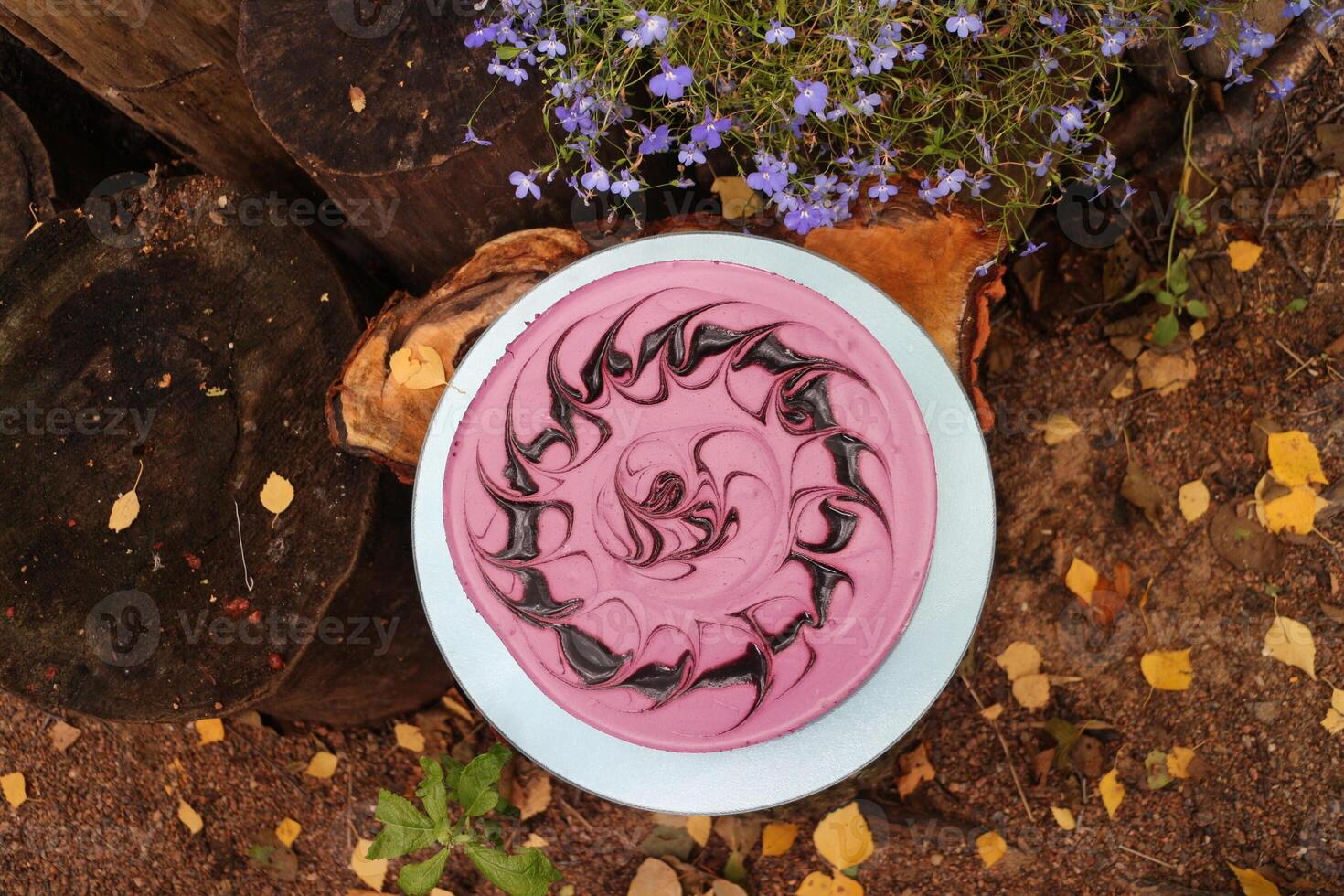 beautiful and delicious cake with chocolate fancy patterns, top view, autumn still life photo