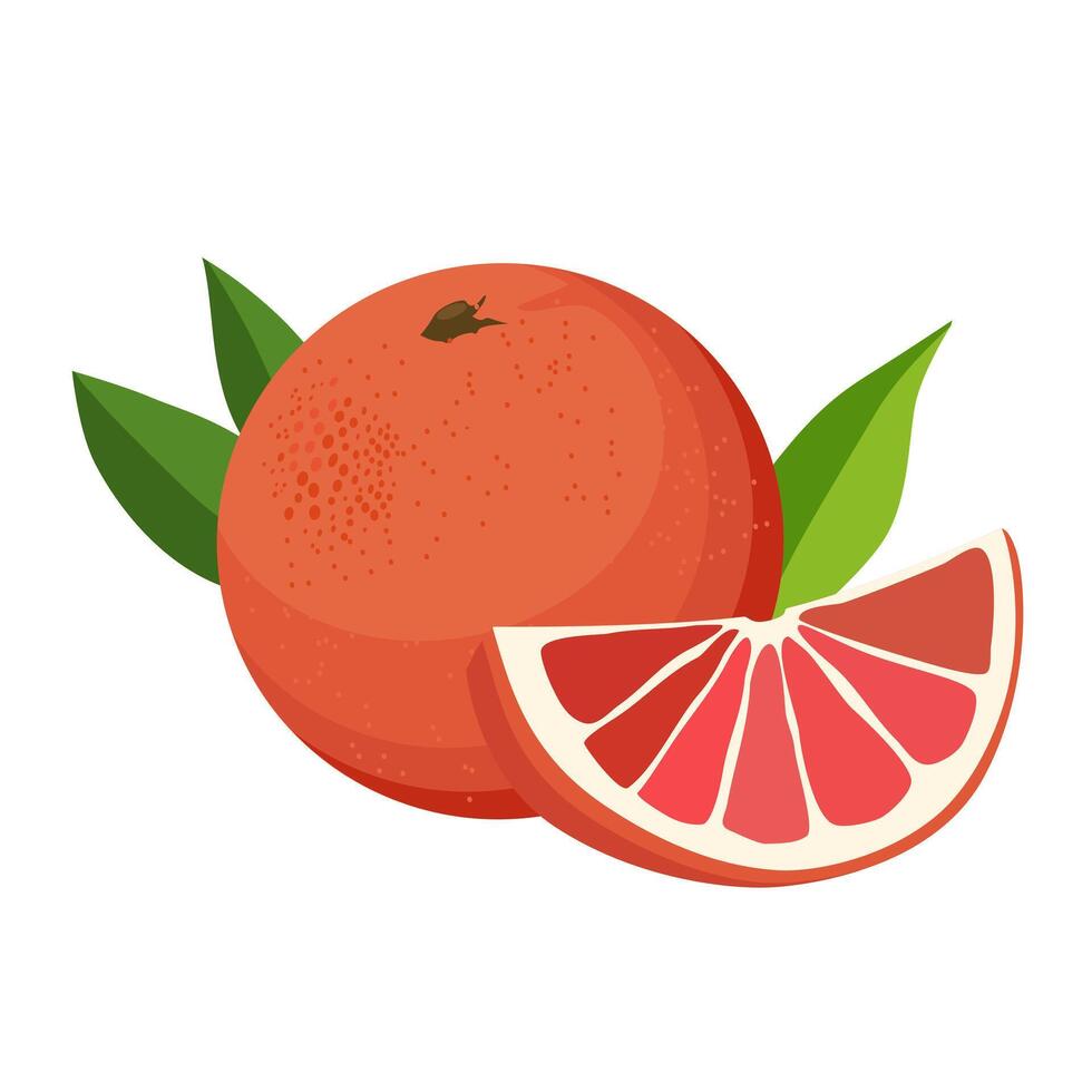 Juicy and healthy red grapefruit and half with green leaves isolated on white background. Vector fruit illustration in flat style. Summer clipart for design of card, banner, flyer, sale, poster, icons