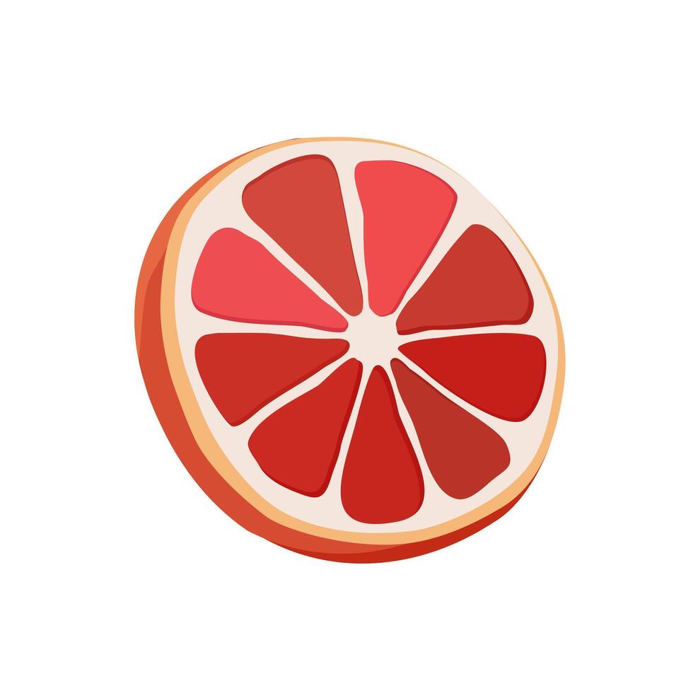 Juicy and healthy red thin slice of grapefruit isolated on white background. Vector sliced fruit illustration in flat style. Summer clipart for design of card, banner, flyer, sale, poster, icons