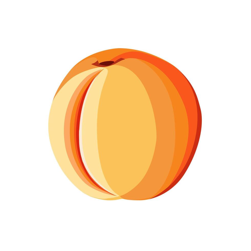 jugoso y sano naranja melocotón aislado en blanco antecedentes. vector Fruta ilustración en plano estilo. verano clipart para diseño de tarjeta, bandera, volantes, venta, póster, íconos