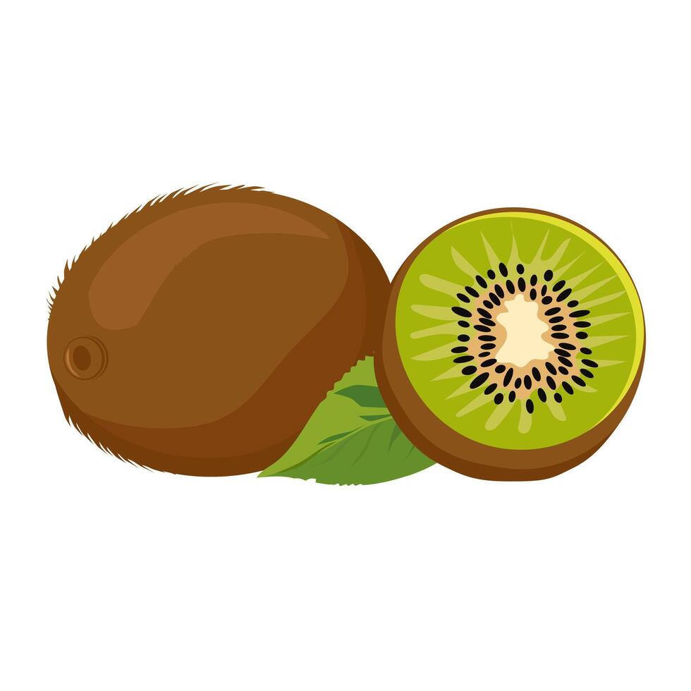 Juicy and healthy green kiwi with half isolated on white background. Vector fruit illustration in flat style. Summer clipart for design of card, banner, flyer, sale, poster, icons