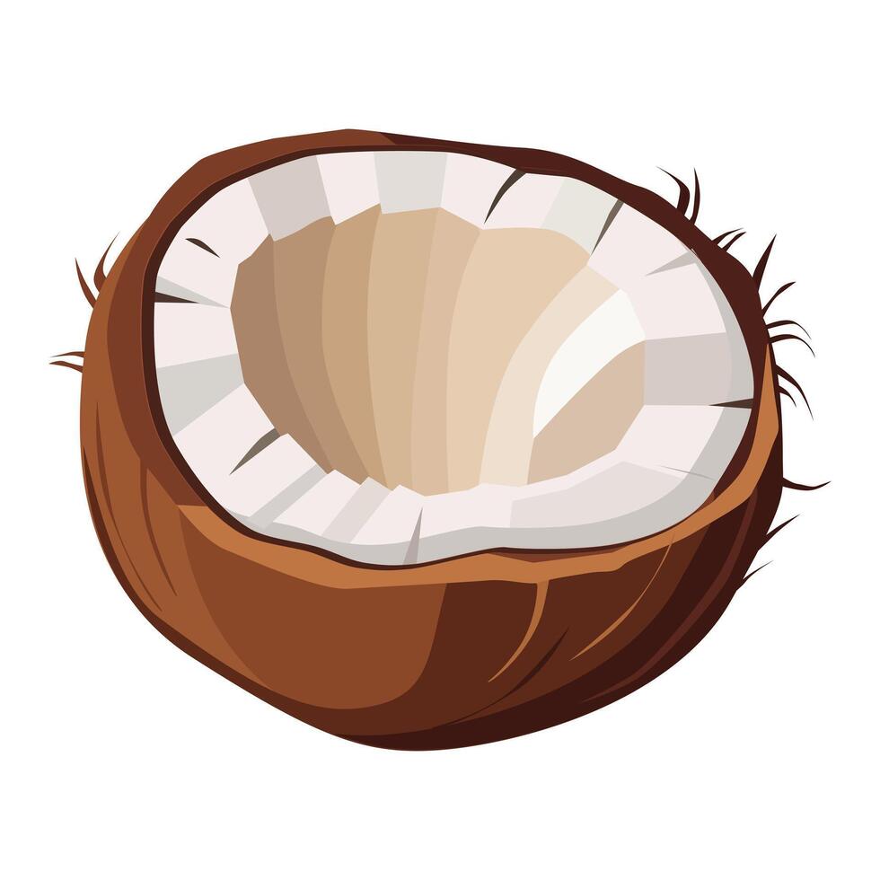 Juicy and healthy brown half of chopped coconut isolated on white background. Vector fruit illustration in flat style. Summer clipart for design of card, banner, flyer, sale, poster, icons