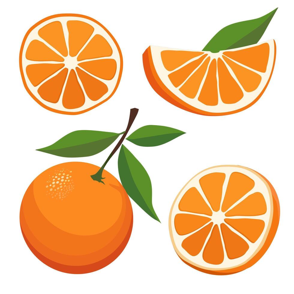 conjunto de jugoso y sano rojo naranja y rebanadas aislado en blanco antecedentes. vector rebanado Fruta ilustración en plano estilo. verano clipart para diseño de tarjeta, bandera, volantes, venta, póster, íconos