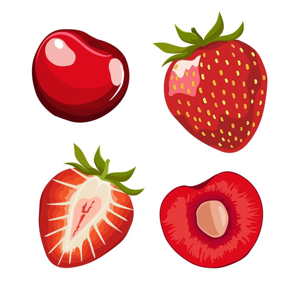 Set of juicy and healthy red cherry and strawberry isolated on white background. Vector half of berries illustration in flat style. Summer clipart for design of card, banner, flyer, sale, poster