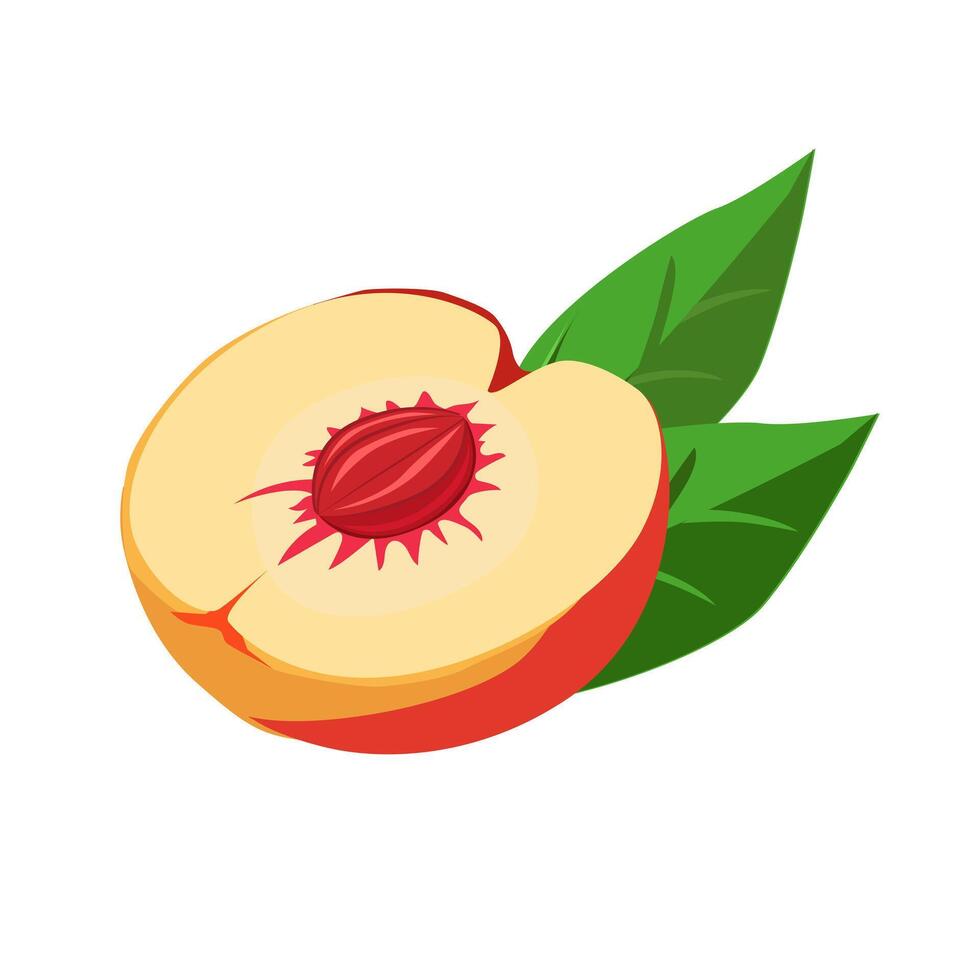 Juicy and healthy half an orange peach with green leaf isolated on white background. Vector fruit illustration in flat style. Summer clipart for design of card, banner, flyer, sale, poster, icons
