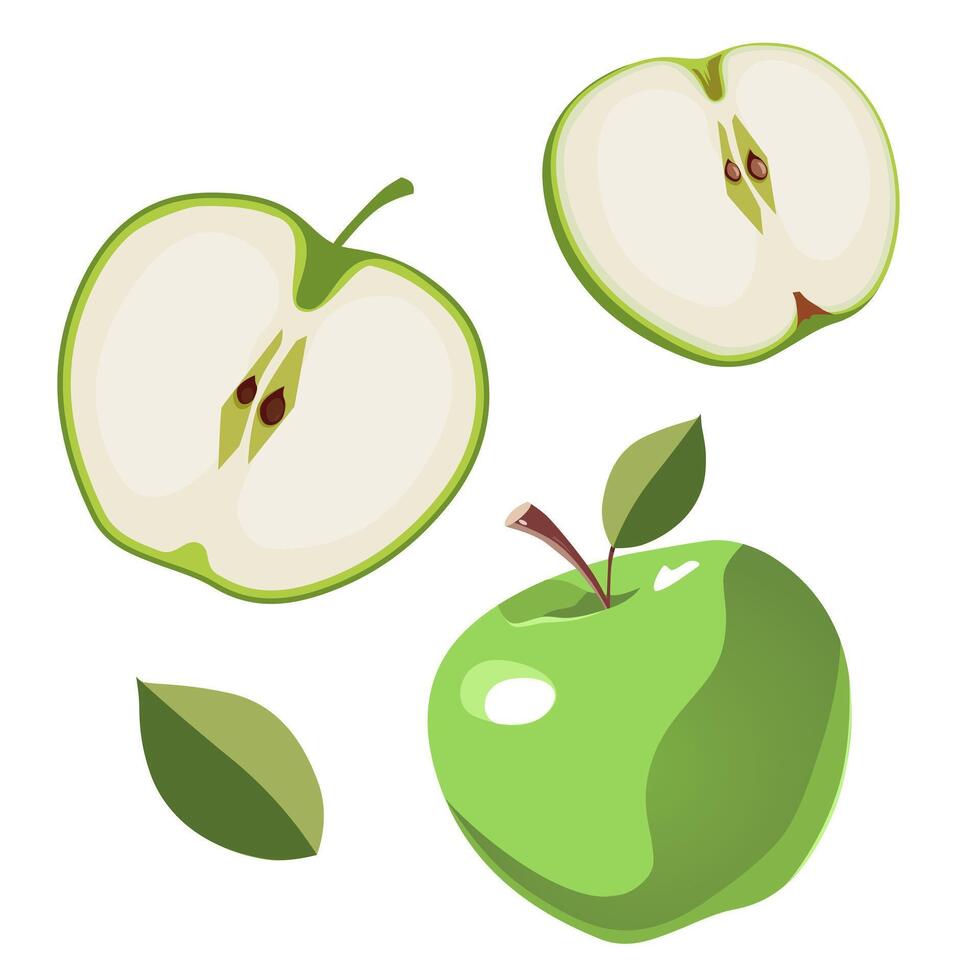 conjunto de jugoso y sano verde manzana y rebanadas aislado en blanco antecedentes. vector rebanado Fruta ilustración en plano estilo. verano clipart para diseño de tarjeta, bandera, volantes, venta, póster, íconos