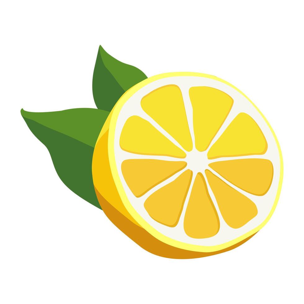 Juicy and healthy yellow half a lemon with green leaves isolated on white background. Vector fruit illustration in flat style. Summer clipart for design of card, banner, flyer, sale, poster, icons