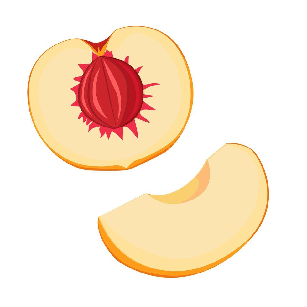 conjunto de jugoso y sano naranja melocotón mitades y rebanadas aislado en blanco antecedentes. vector rebanado Fruta ilustración en plano estilo. verano clipart para diseño de tarjeta, bandera, volantes, venta, póster