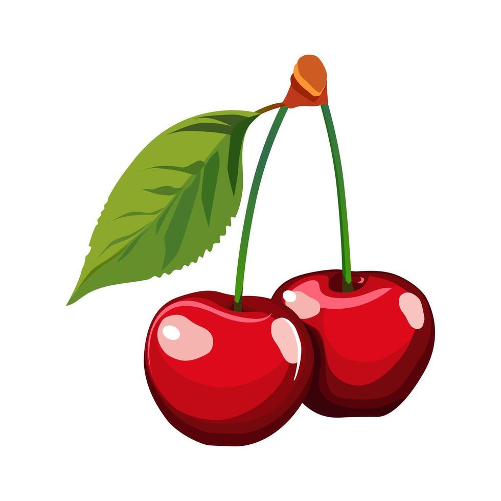 Juicy and healthy red couple of cherries with green leaf isolated on white background. Vector fruit illustration in flat style. Summer clipart for design of card, banner, flyer, sale, poster, icons