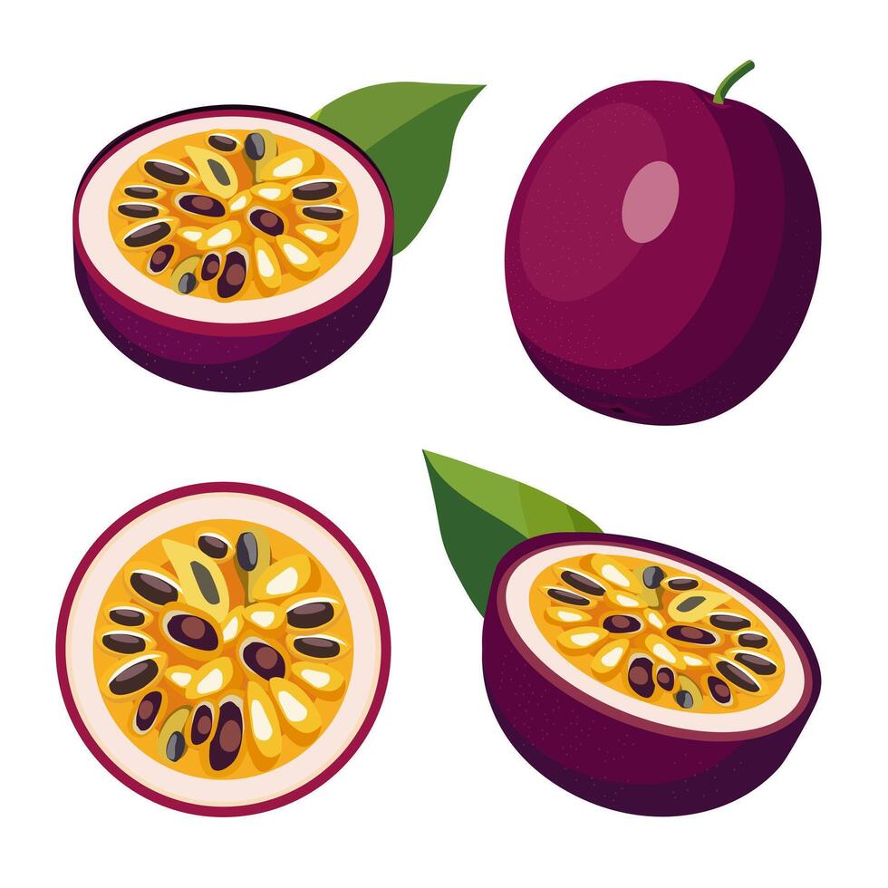 Set of juicy and healthy purple passion fruit and slices isolated on white background. Vector sliced fruit illustration in flat style. Summer clipart for design of card, banner, flyer, sale, poster