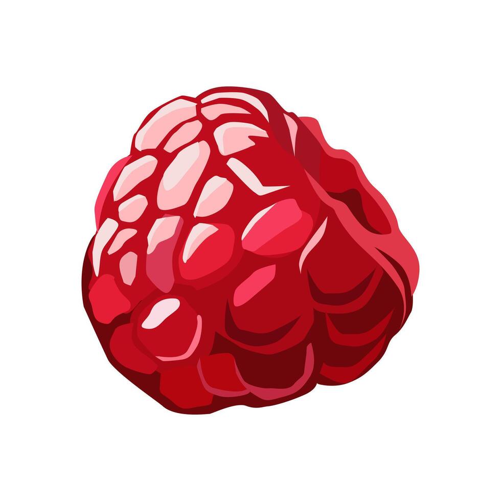 juicy and healthy red raspberry isolated on white background. Vector berries illustration in flat style. Summer clipart for design of card, banner, flyer, sale, poster, icons