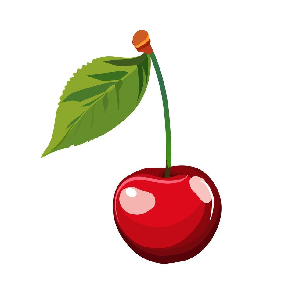 jugoso y sano rojo soltero Cereza con verde hoja aislado en blanco antecedentes. vector Fruta ilustración en plano estilo. verano clipart para diseño de tarjeta, bandera, volantes, venta, póster, íconos