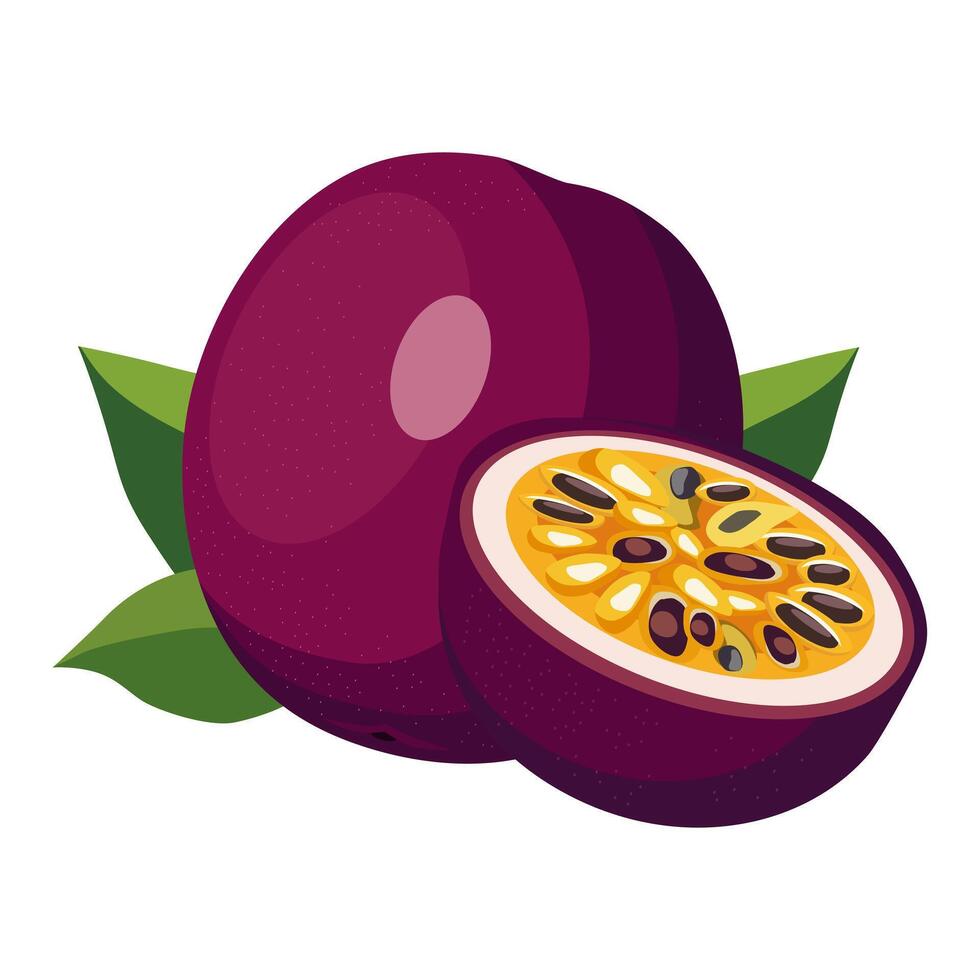 Juicy and healthy purple passion fruit with half and green leaves isolated on white background. Vector fruit illustration in flat style. Summer clipart for design of card, banner, flyer, sale, poster