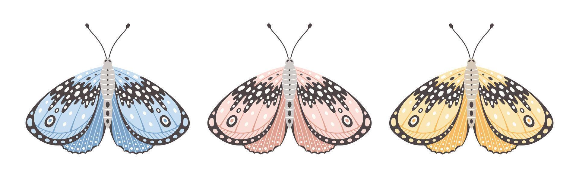 Set of one butterfly or moth shape in three colors, vector illustration. Cute wings with abstract ornament, front view. Element for tattoo design. Summer background