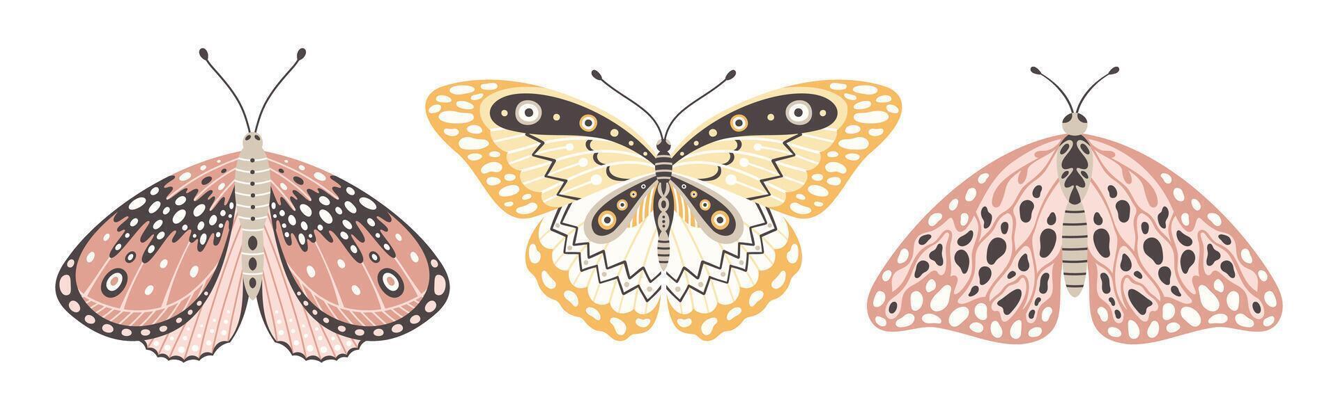 vistoso mariposas y polillas, un conjunto de Tres vector ilustraciones. linda alas con resumen ornamento, frente vista. elementos para tatuaje diseño. verano antecedentes