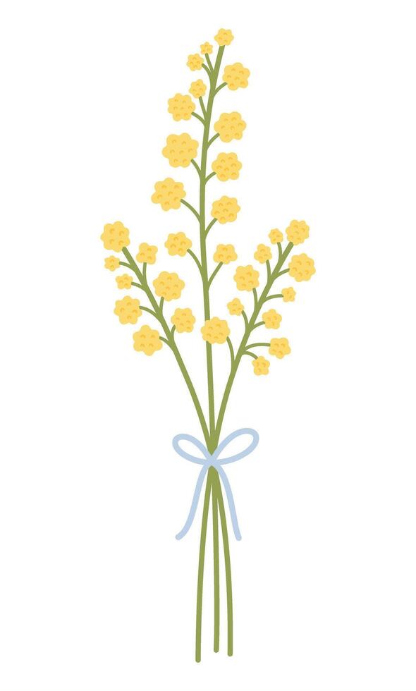 Bouquet with yellow mimosa flowers and stems. Delicate twigs bunch, tied with ribbon. Meadow herbaceous plants for design projects. Vector illustration