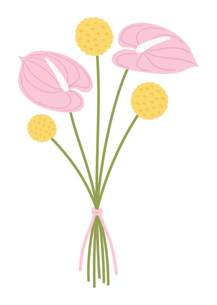 ramo de flores con rosado anturio flores y amarillo flores silvestres craspedia. floral composición atado con cinta. delicado salvaje prado plantas para diseño proyectos, vector ilustración