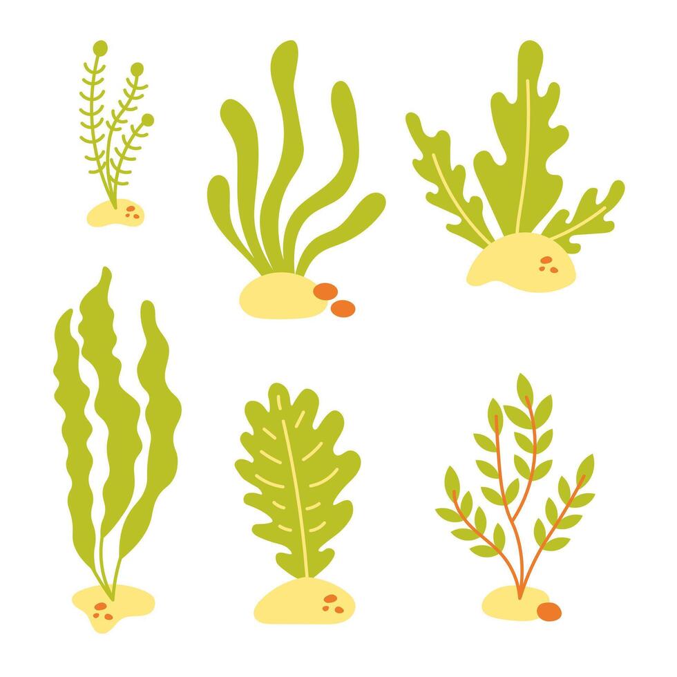 Seaweed vector illustration set