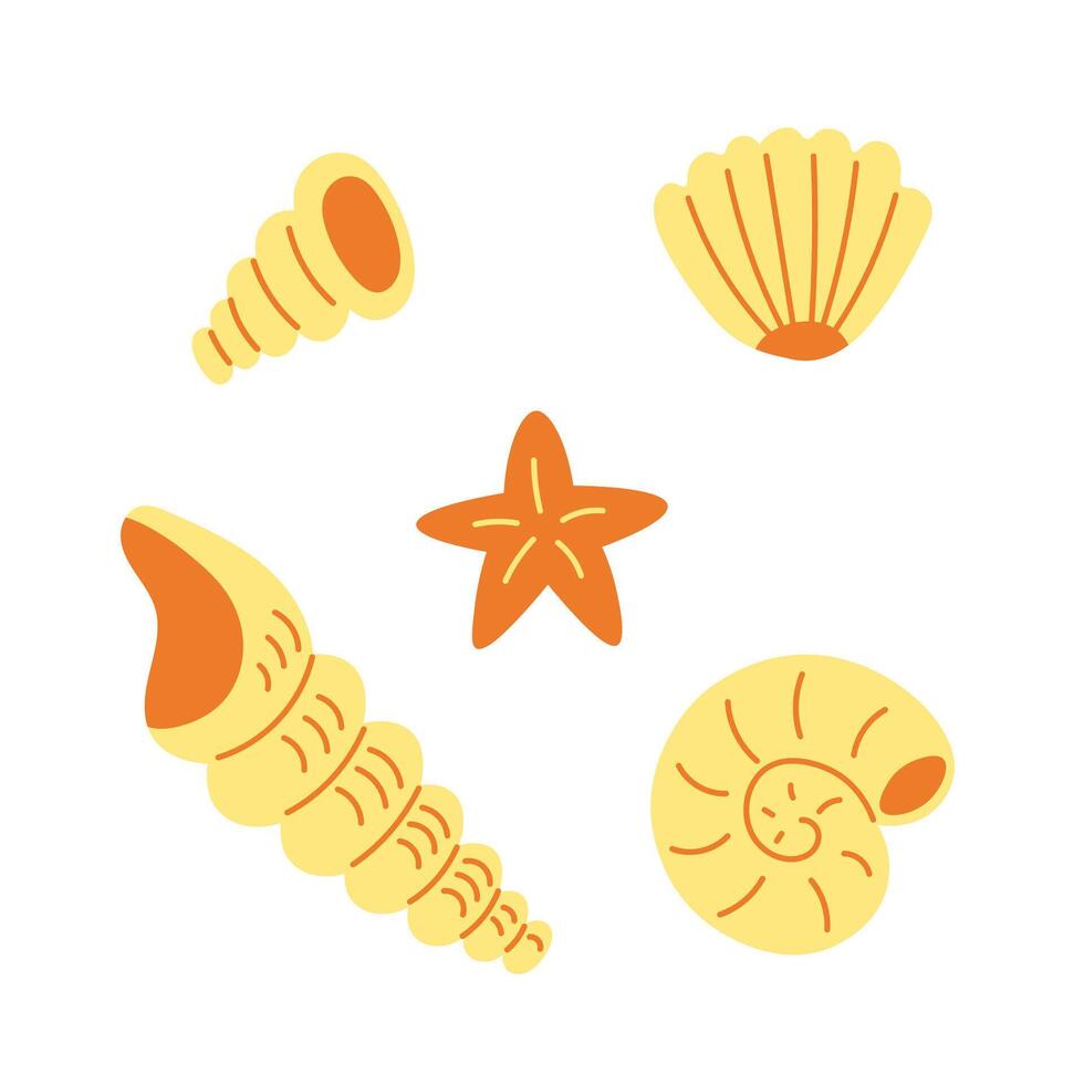 Seashells and starfish vector illustration set