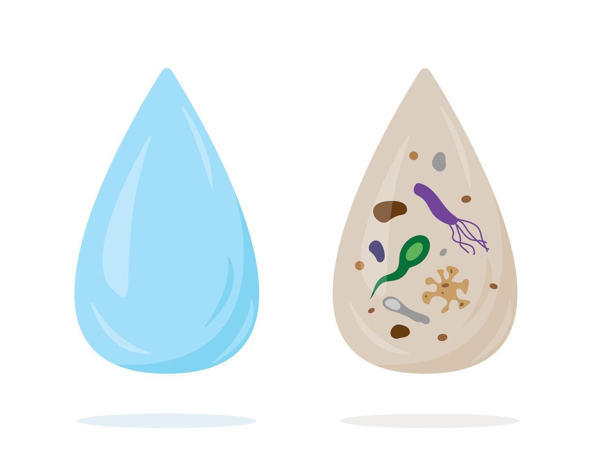 limpiar y sucio gotas de agua. Bebiendo y peligroso agua. filtración, bacterias, Ciencias microbiología, infección concepto. vector ilustración aislado en blanco antecedentes.