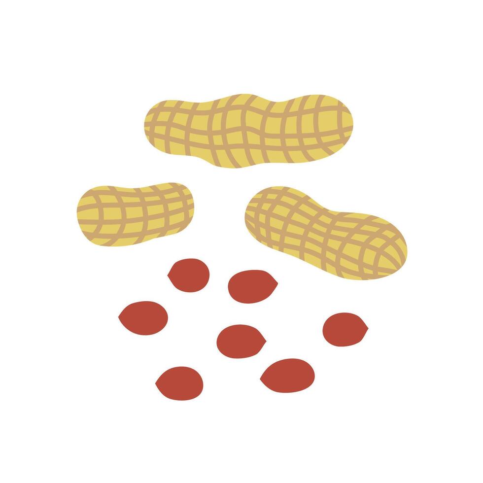 Peanuts in shells and nuts. Flat vector illustration isolated on white background. Peanuts small heap side view. Three shells and a peanuts near.