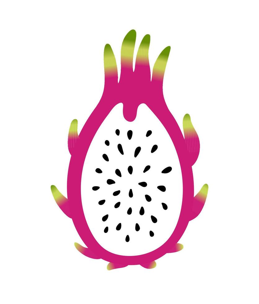 continuar Fruta medio. plano dibujos animados color vector ilustración aislado en blanco antecedentes. pitaya o pitahaya garabatear. blanco Fruta pulpa con semillas