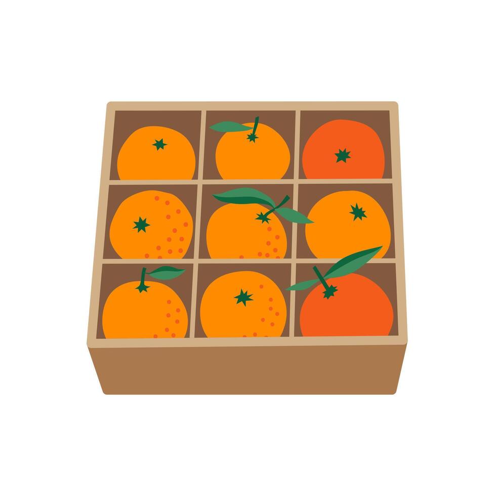 Nine fresh oranges with leaves in a cell paper box. Vector flat