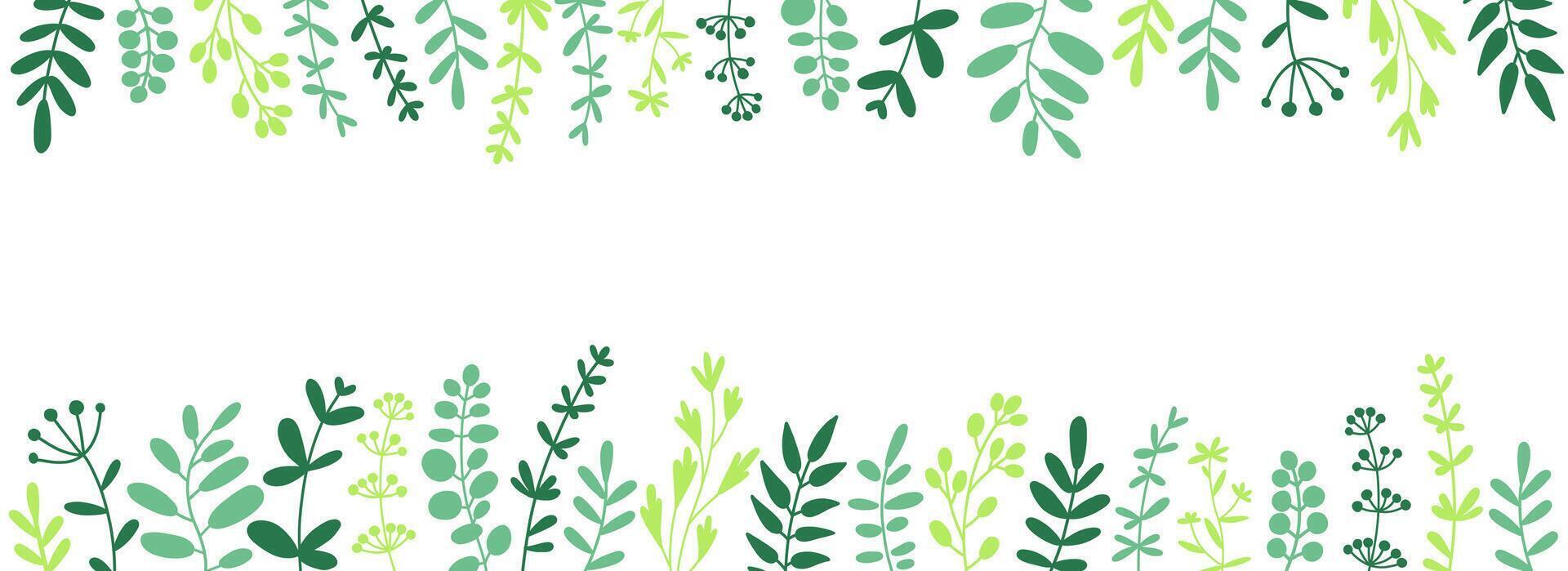 hierbas, leña menuda y hojas. herbario borde, horizontal parte superior y fondo ribetes. vector
