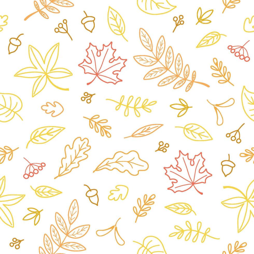 Fall leaves seamless pattern. Color line hand drawn vector illustration on white background.