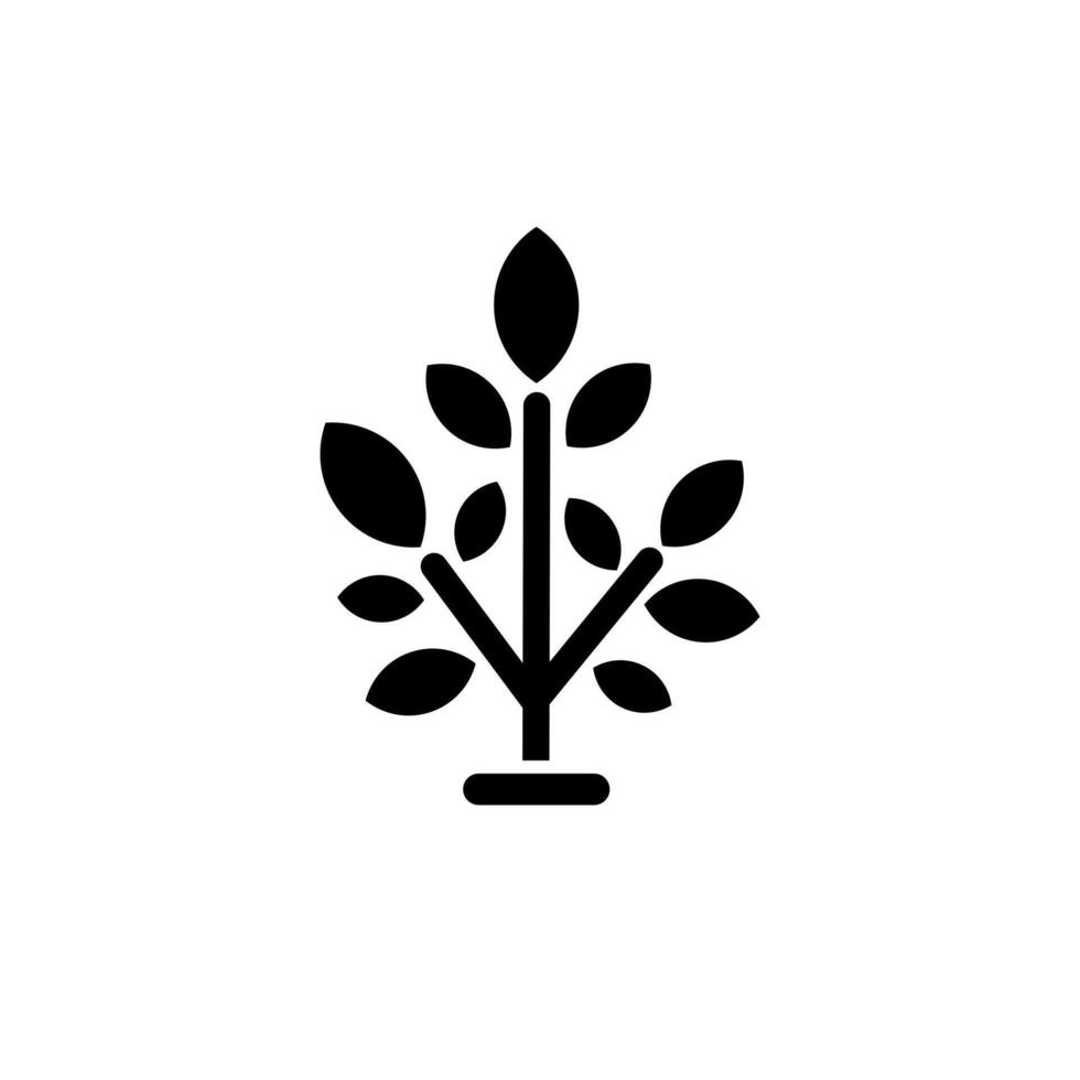 Young leafy tree or seedling. Vector flat black icon isolated on white background.