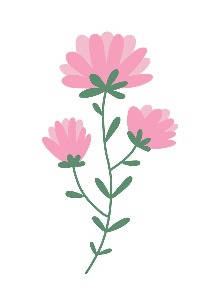 soltero rosado flor. plano vector ilustración aislado en blanco antecedentes.