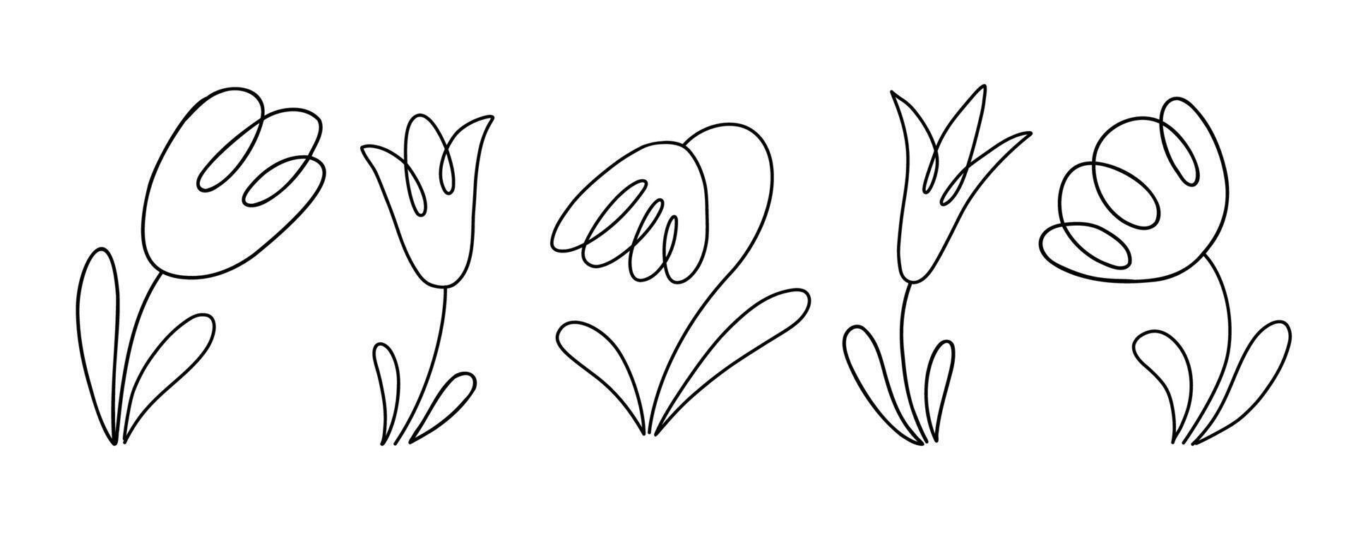 Tulip flowers collection. Doodle style vector black line illustration isolated on white background.Tulips in a row. Freehand simple sketch thin line set.