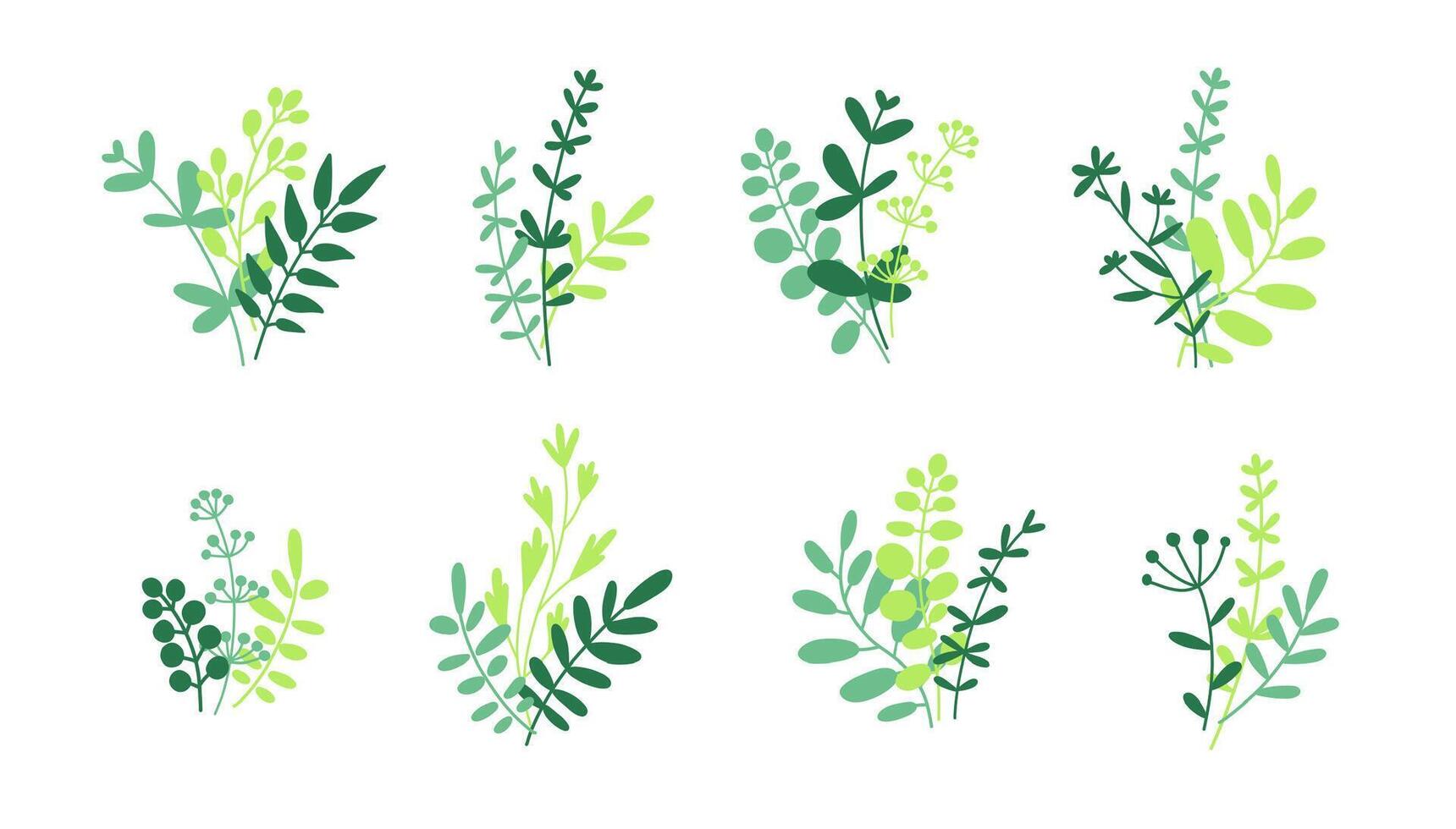 Herbs, twigs and leaves bunches isolated on white. Bundle of green herbs vector flat illustration.