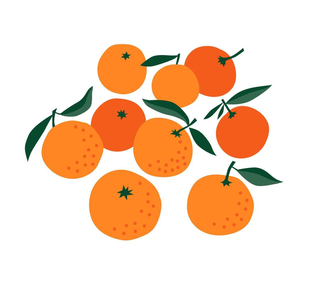 Bunch of orange citrus, whole fresh fruits with green leaves. Minimalistic style illustration isolated on a white background. vector