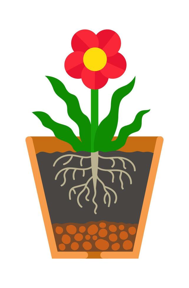sección de flor maceta con bloomy casa planta. maceta lleno con suelo y guijarros vector