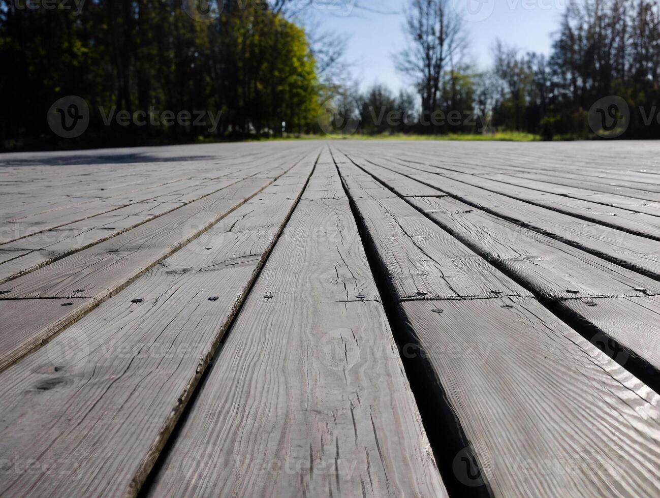 Boardwalk by the garden, wooden plank, decking, walkway, path or terrace, low angle view image of patio deck with blurred green background, copy space photo