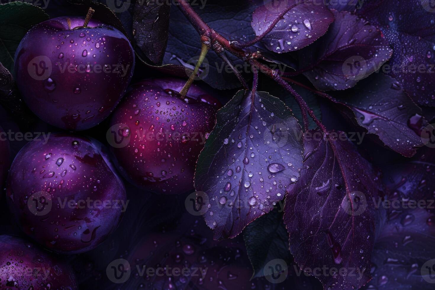 AI generated Close-up of fresh plums with waterdrops on leaves in a purple and organic setting photo