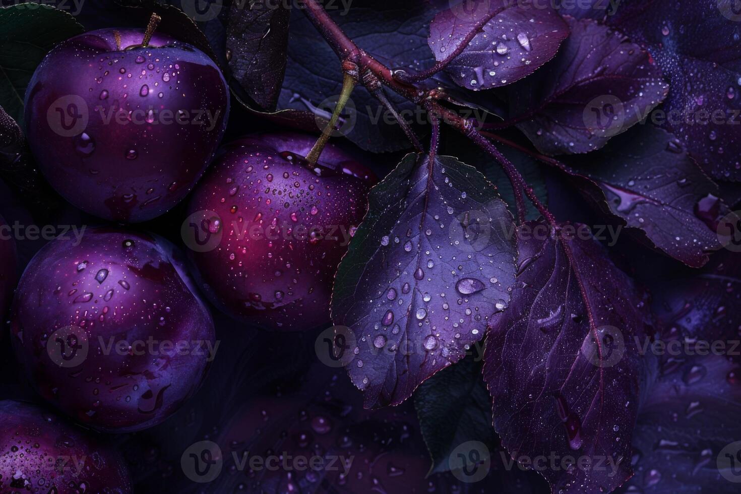 ai generado de cerca de Fresco ciruelas con gotas de agua en hojas en un púrpura y orgánico ajuste foto