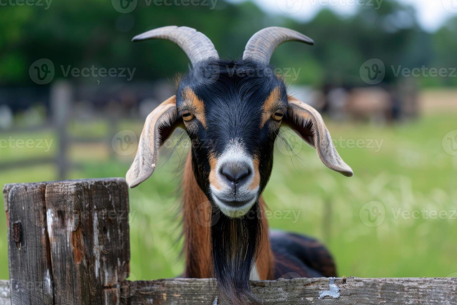 AI generated Goat with horns on a farm fence in a pastoral setting photo