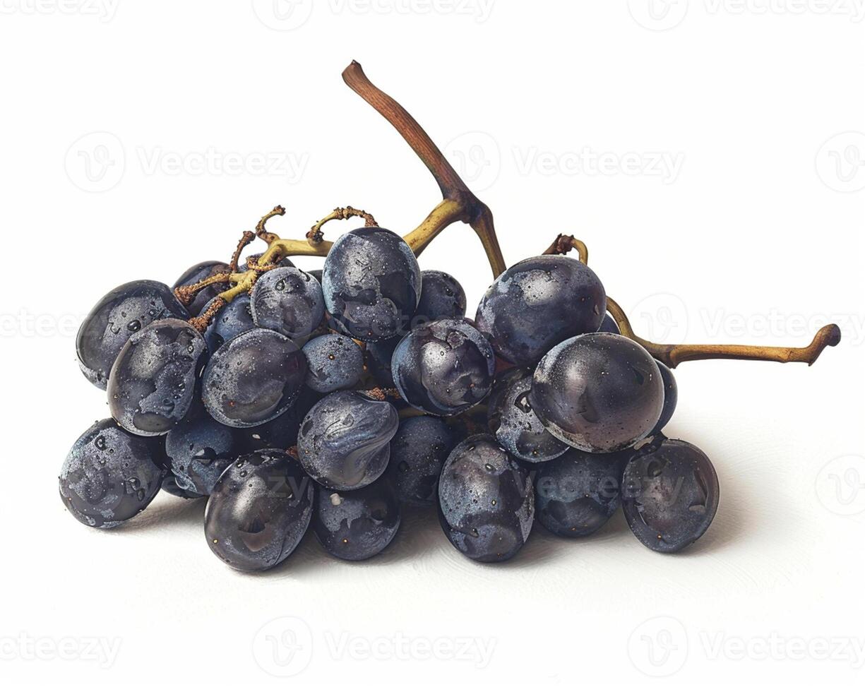 AI generated Bunch of fresh ripe dark blue grapes isolated on white background. Close-up Shot. photo