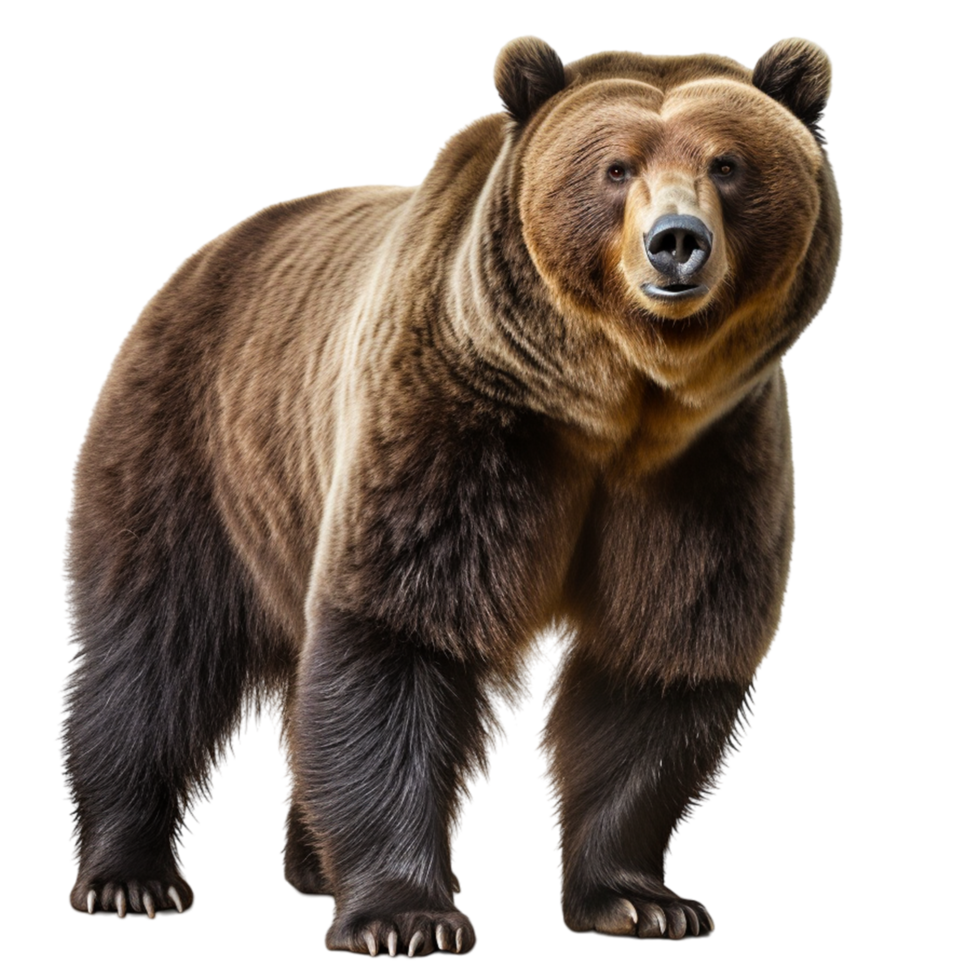 AI generated big brown bear png