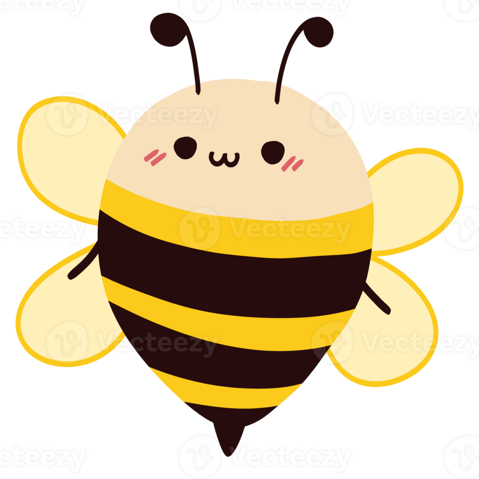 Isolated cute honey bee with a happy smile in transparent background. png